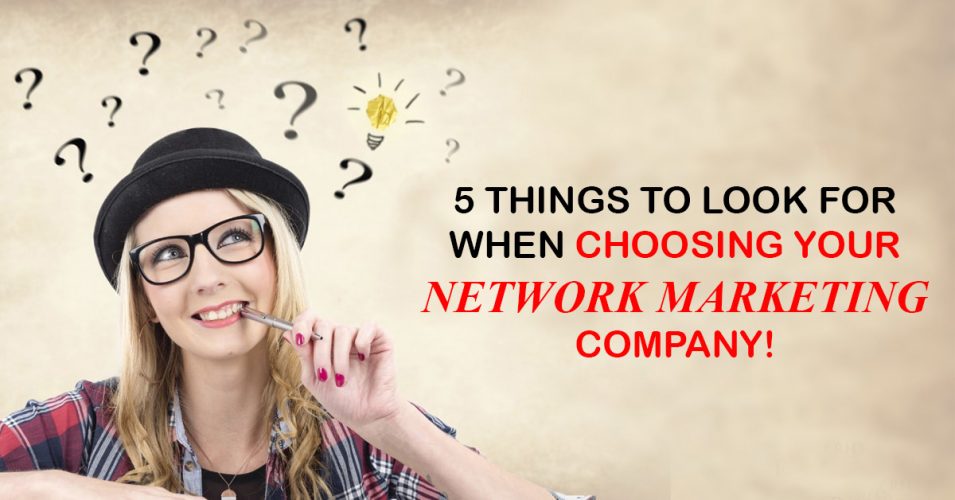 What should you look for when choosing a Network Marketing company opportunity